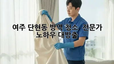 여주 단현동 방역 청소, ✨ 전문가 노하우 대방출! 💯