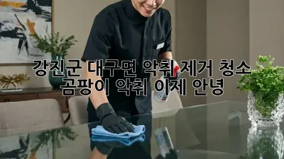 강진군 대구면 악취 제거 청소: 곰팡이 악취, 이제 안녕!