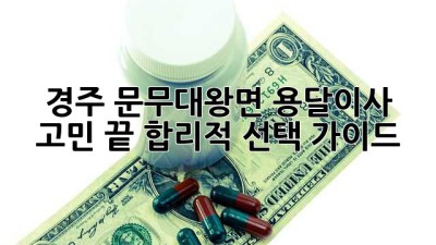 경주 문무대왕면 용달이사🚚💨 고민 끝! 합리적 선택 가이드✨